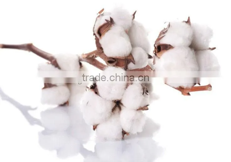 Cotton 200TC thread count bed sheets