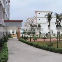 Race Medical & Beauty Equipment Co., Ltd. company overview - view 3