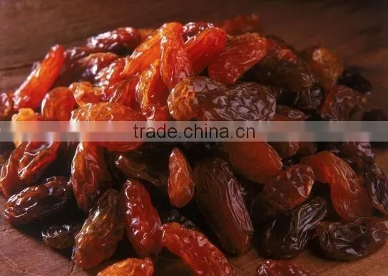 Yellow sultana raisin/gold raisin