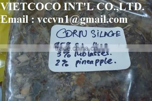 Corn Silage