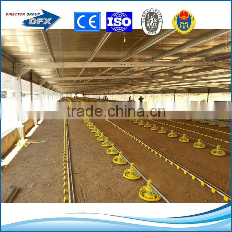 Shandong steel structure poultry farm house shed design with equipment for broiler