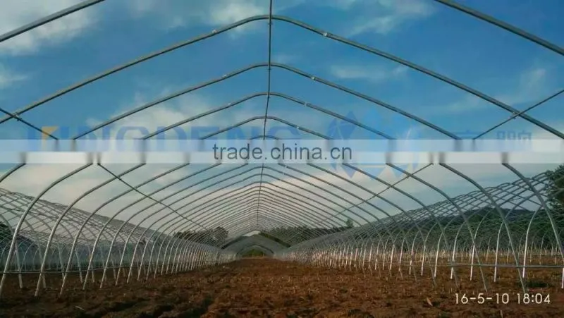 Tunnel griculture film greenhouse