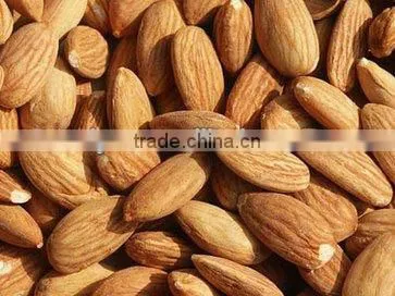 hot sale multi-function almond shell and kernel separator