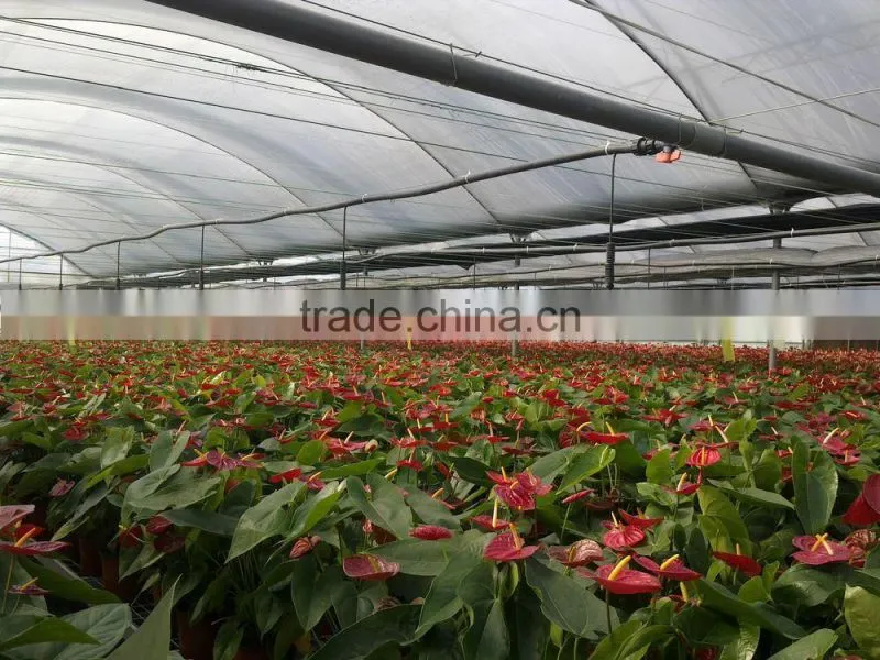 polyester material screen supporting wire, greenhouse wire with high breaking strength, anti uv wire polyester