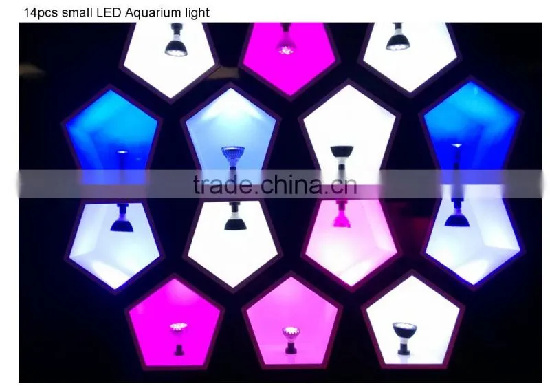Twilight Group Co., Ltd. company overview - view 3