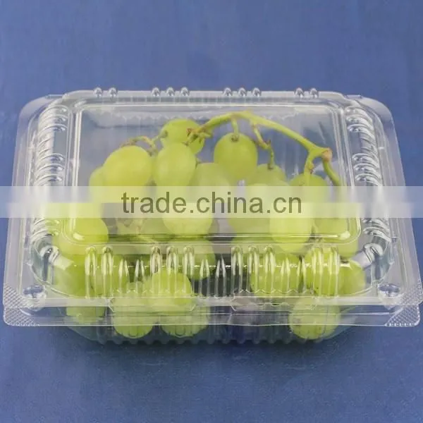 Newest exquisite fruit trays for Cake shop dessert display trays