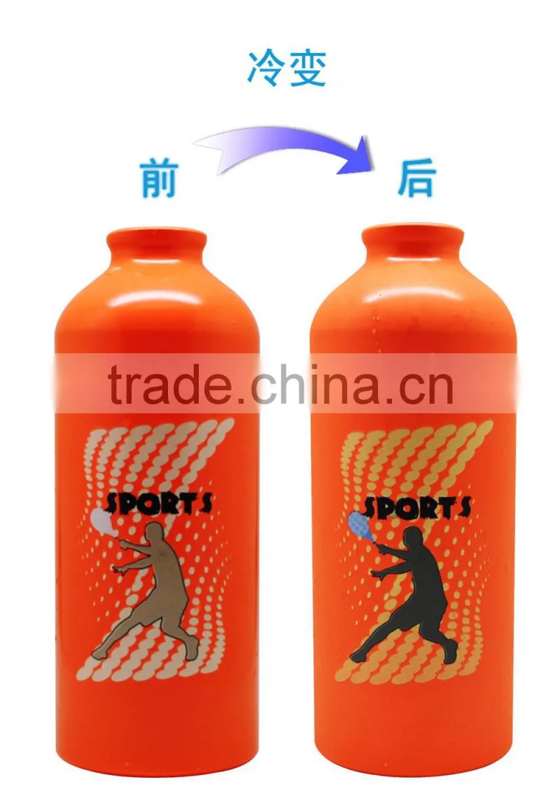 Stainless steel sport bottles for Dad's gift