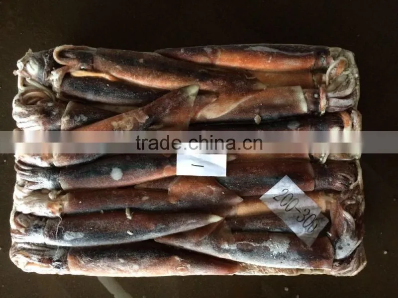 price of fresh squid