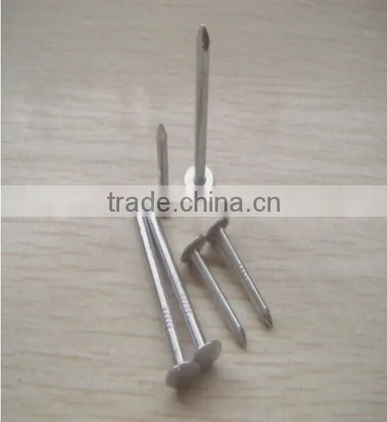 Tangshan hot selling cupper nails for sale