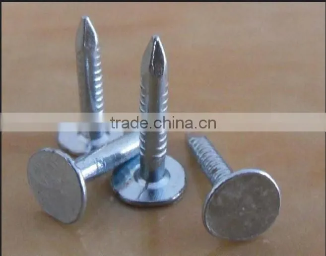 Galvanized clout nails /roofing nails flat head