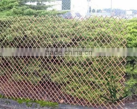 willow trellis