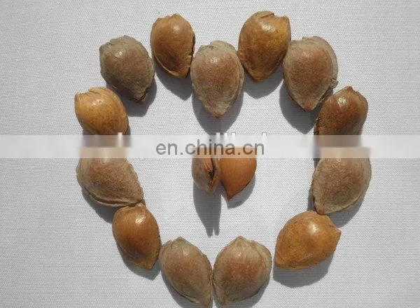 Industrial almond shell and kernel separating machine/apricot seed remover apricot seed getting machine