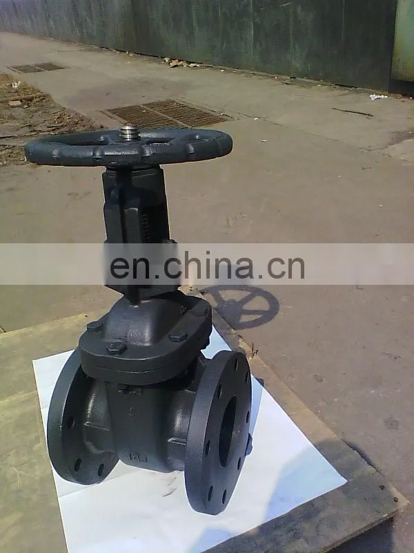 JIS-10K Non-rising stem cast iron gate valve