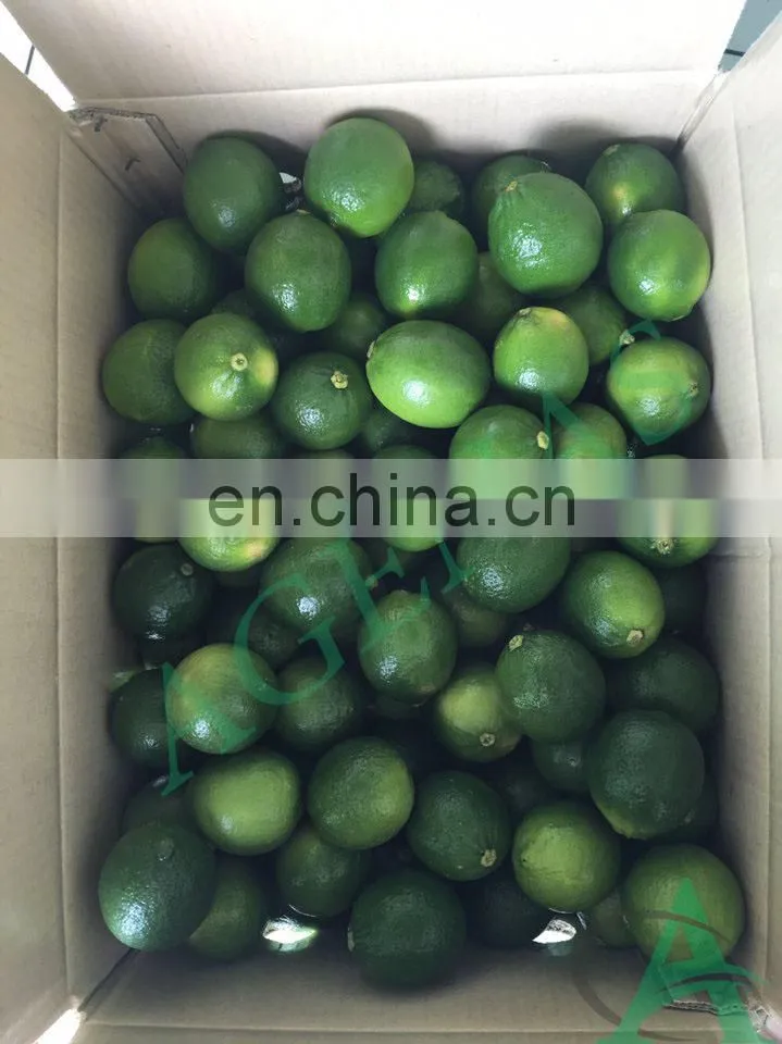 Fresh Lime/ Seedless Lime