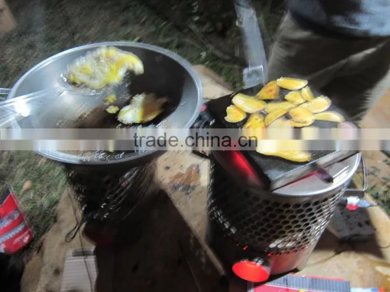 thermoelectric generator stove for remote area resident