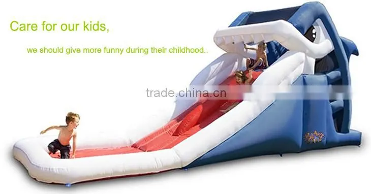 New Point inflatable slide, giant inflatable slide, commercial inflatable slide