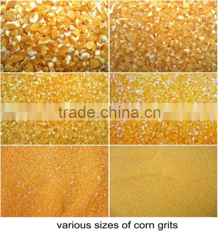 multifunction electric soybean lentil peeling machine