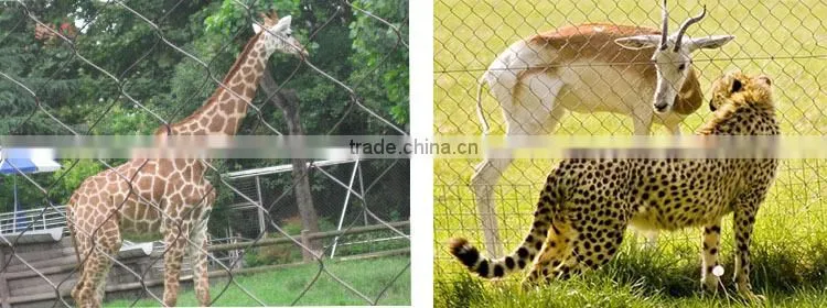 aviary knotted rope wire mesh animal mesh fence