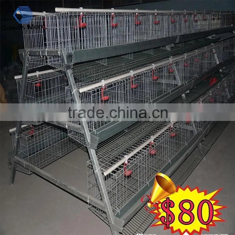 Egg Production Project Poultry Farming Equipment A type design layer chicken cage for Sale