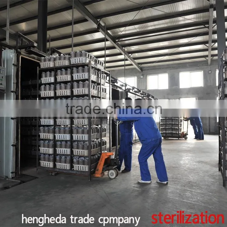 best selling Chinese style fresh mushroom in plastic drums