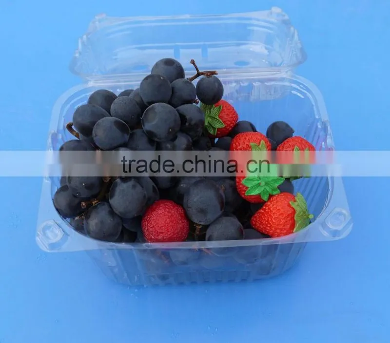 High Quality disposable Clamshell Blister Plastic packaging container punnet 1500 gram