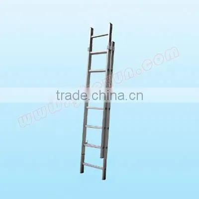 Dual Section Telescopic Lader with first-class quality