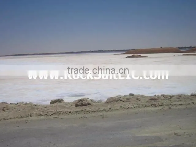 Ice melt Salt 98-99% NACL for snow applications (EGYPT origin - sgs certificate - white color)