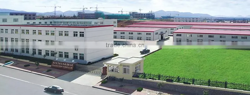 Twin Screw Extruder