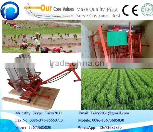 big promotion and popular selling rice transplanter price