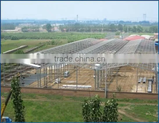 Galvanized Prefabricated Warehouse