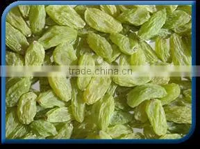 Green Raisin