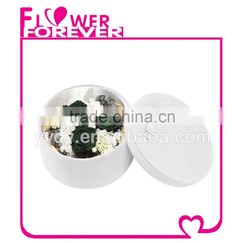 Best Selling Natural Preserved Flower