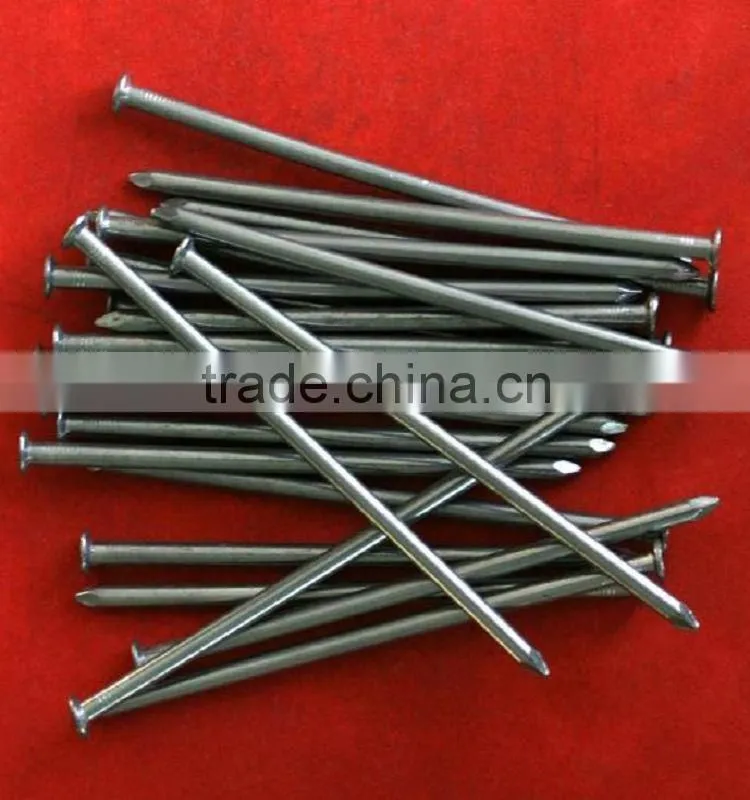 common nail/ common wire nail/common iron nails