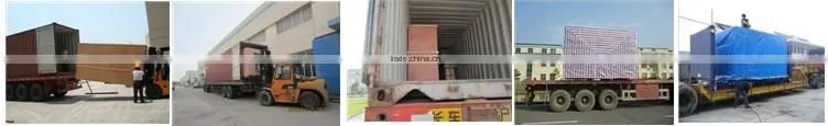 Continuous Tunnel Pasteurizer