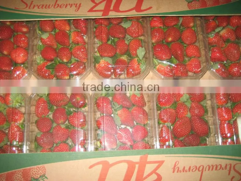 FRESH STREWBERRY