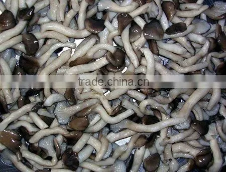 salted shimeji mushroom in brine