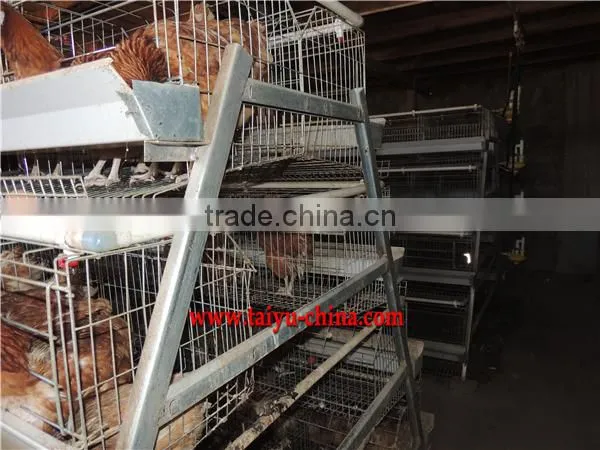 TAIYU Design Layer Chicken Cages In Kenya