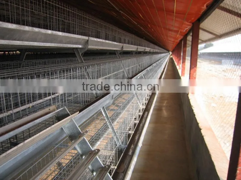 9WCD-3198 A-type Pullet Chicken Cage for Chicken Products