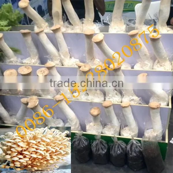 mushroom plastic bagging machine with high capacity