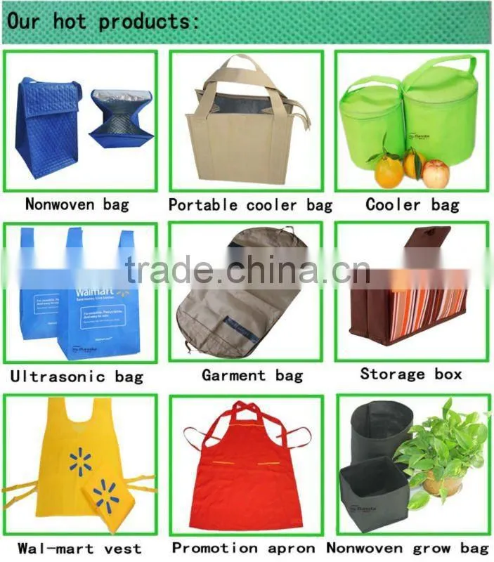 2014 non woven shoulder bag