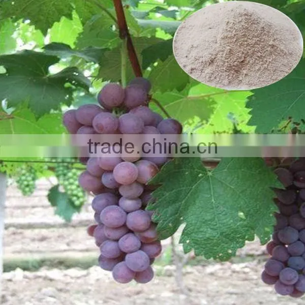 Zinc Sulphate Granular / Powder