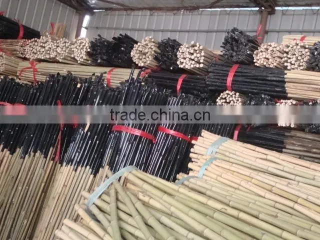 Excellent Quality Factory Price Bamboo Canes for Sale