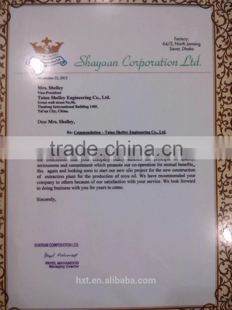 china chain cement grain vertical bucket elevator for sale