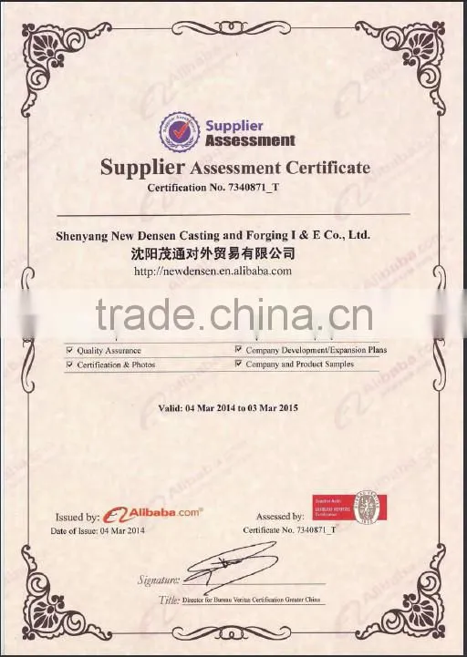China OEM Forged Stainless Steel gear