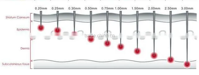 Hot sale Dermaroller 180needles 600needles 1200needles 3 in 1 derma roller titanium micro needle roller