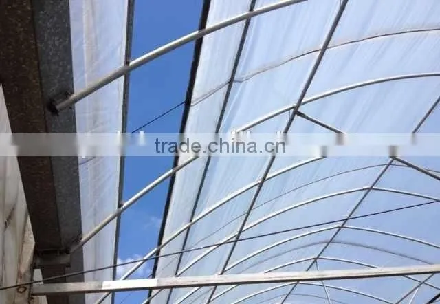 PC solid sheet roof greenhouse high quality