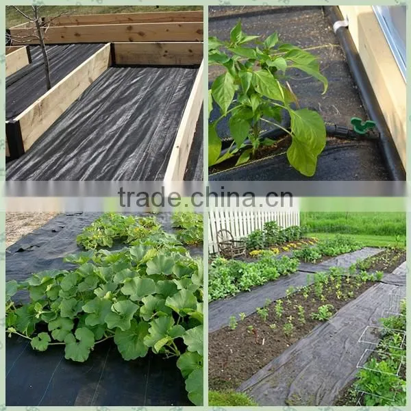 Organic weed barrier