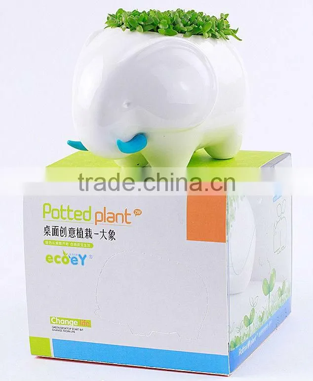 Supply fashion Creative animal plant - rhinoceros