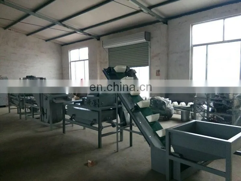 Hot sale apricot kernels shell separating machine