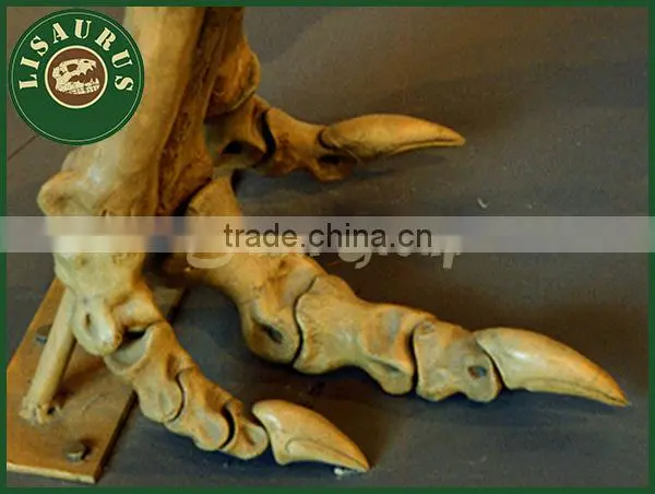 Lisaurus-0047 Buried Discovery Science Dinopark Dinosaurs Fossils Replica